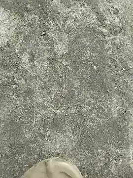 rana cute online show from December 22, 2024, 7:22 am