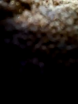 Snapshot of Exhibitionist1508 chatting on September 9, 2025, 3:38 am Exhibitionist1508 online show from September 9, 2025, 3:38 am