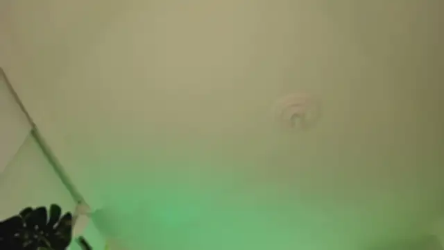 Taylor  foxxx online show from March 6, 2025, 4:08 am