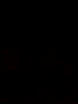 Snapshot of Adee21e chatting on October 12, 2025, 6:53 pm Adee21e online show from October 12, 2025, 6:53 pm