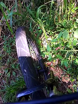 Adee21e online show from November 21, 2025, 4:39 pm