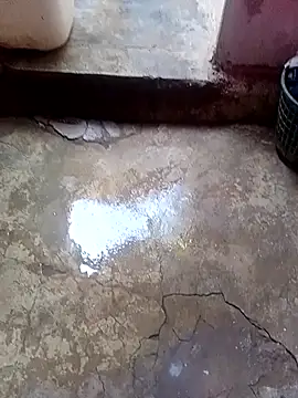 rau 4455 online show from October 7, 2025, 9:10 am