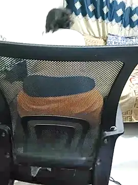 Snapshot of Adiba_2 chatting on November 1, 2025, 6:24 pm Adiba 2 online show from November 1, 2025, 6:24 pm