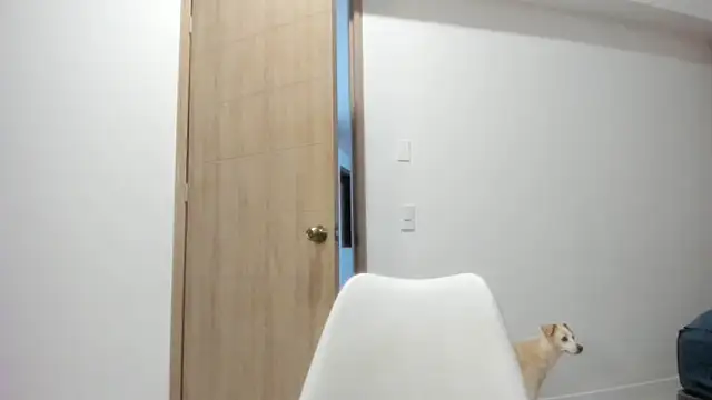 Vera Fernandez online show from April 10, 2026, 11:34 pm