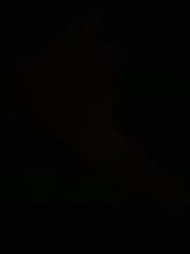 Snapshot of egyptman220 chatting on March 8, 2026, 7:55 am egyptman220 online show from March 8, 2026, 7:55 am