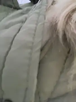 Snapshot of MerlinDave chatting on December 3, 2025, 2:12 am MerlinDave online show from December 3, 2025, 2:12 am