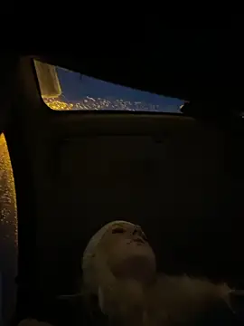 Snapshot of MerlinDave chatting on November 8, 2025, 12:58 am MerlinDave online show from November 8, 2025, 12:58 am