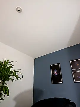 Snapshot of SilvaBranko chatting on November 9, 2025, 1:09 am SilvaBranko online show from November 9, 2025, 1:09 am