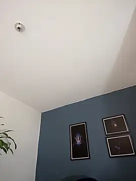 Snapshot of SilvaBranko chatting on October 27, 2025, 11:05 pm SilvaBranko online show from October 27, 2025, 11:05 pm