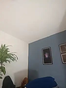 Snapshot of SilvaBranko chatting on November 5, 2025, 10:02 pm SilvaBranko online show from November 5, 2025, 10:02 pm