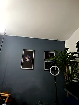 Snapshot of SilvaBranko chatting on December 1, 2025, 1:06 am SilvaBranko online show from December 1, 2025, 1:06 am