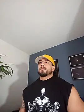 Snapshot of SilvaBranko chatting on November 3, 2025, 11:41 pm SilvaBranko online show from November 3, 2025, 11:41 pm