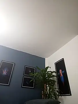 Snapshot of SilvaBranko chatting on November 29, 2025, 1:06 am SilvaBranko online show from November 29, 2025, 1:06 am