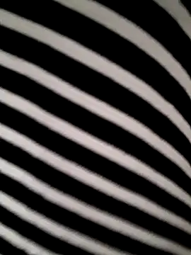 Snapshot of hotandfierylatinos2023 chatting on March 16, 2026, 11:03 am hotandfierylatinos2023 online show from March 16, 2026, 11:03 am