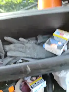 claudio20031 online show from September 16, 2025, 5:41 am