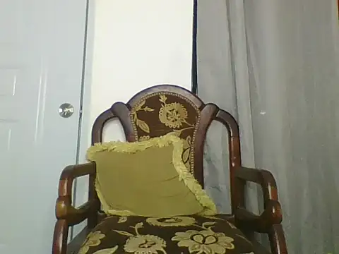 Snapshot of the_geisha_2021k chatting on March 25, 2026, 3:28 am the geisha 2021k online show from March 25, 2026, 3:28 am
