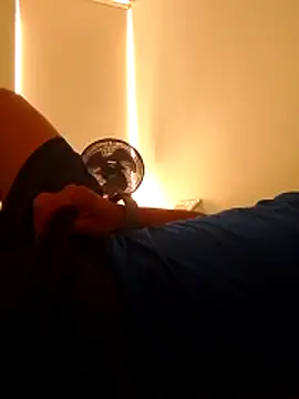 Snapshot of Felipesilv5 chatting on January 17, 2026, 8:12 pm Felipesilv5 online show from January 17, 2026, 8:12 pm