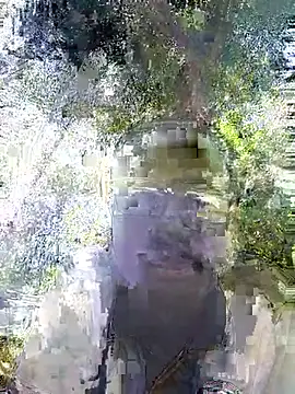 Javan  online show from February 4, 2026, 11:05 am