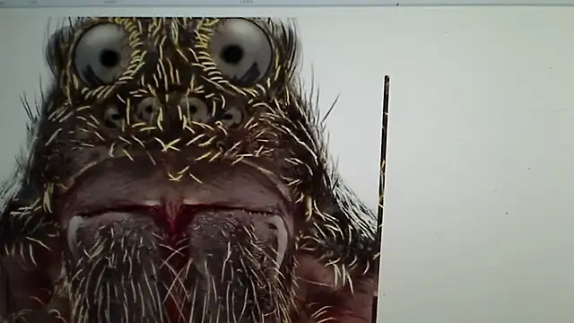 Ireallysquirt online show from March 12, 2025, 2:41 am