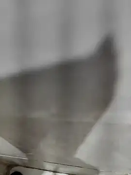 joejoe7 online show from October 2, 2025, 1:53 am