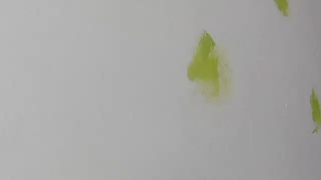 RACHELL  HOT online show from December 16, 2025, 6:34 pm