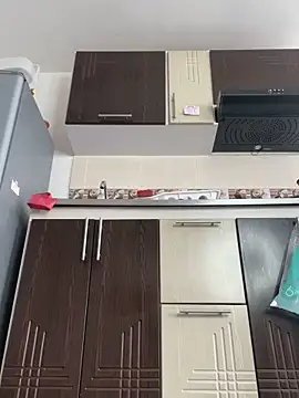 Snapshot of Nikothyna chatting on February 5, 2025, 5:31 pm Nikothyna online show from February 5, 2025, 5:31 pm