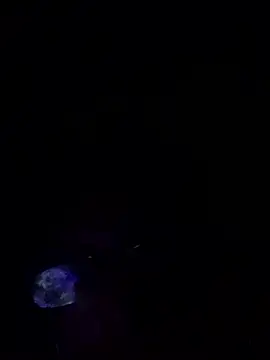 Snapshot of SOYMRX chatting on October 12, 2025, 5:20 am SOYMRX online show from October 12, 2025, 5:20 am