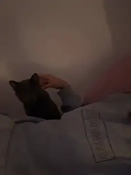 Ag4ta  online show from February 19, 2026, 11:12 pm