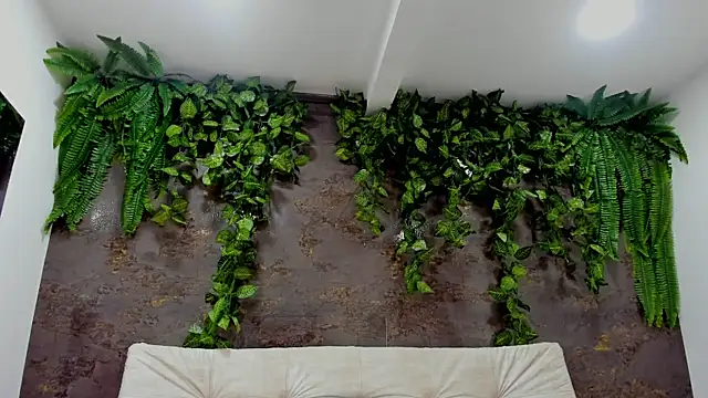 alice greco online show from January 5, 2026, 6:55 pm