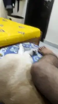 Believerrrr online show from February 5, 2025, 4:59 am