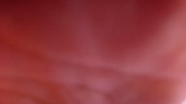 Snapshot of violett_lo chatting on February 28, 2026, 3:06 am violett lo online show from February 28, 2026, 3:06 am