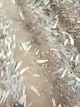 Snapshot of indiasexmf chatting on December 16, 2025, 9:57 am indiasexmf online show from December 16, 2025, 9:57 am