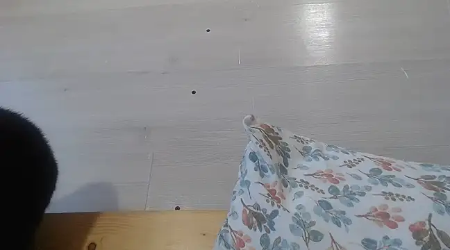 CRISTIINA37 online show from March 19, 2025, 12:34 pm