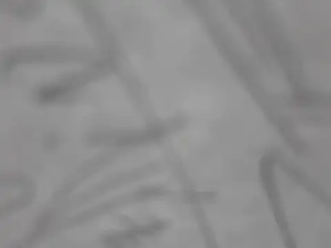 shikokichi55 online show from March 3, 2025, 3:00 pm