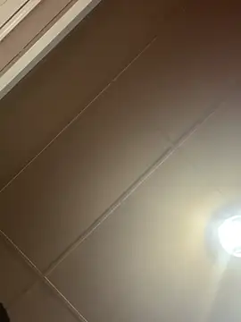 Snapshot of Papinine6 chatting on April 7, 2026, 1:46 pm Papinine6 online show from April 7, 2026, 1:46 pm