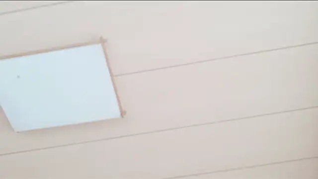 xxArisaxx online show from October 28, 2025, 5:50 am