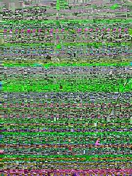 perolanegra22 online show from December 16, 2024, 3:19 am