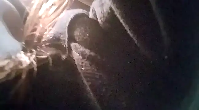 I LOVE-MYSELF online show from December 15, 2024, 3:24 am