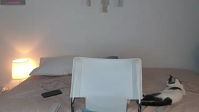 Snapshot of Abii_26 chatting on November 8, 2025, 3:10 am Abii 26 online show from November 8, 2025, 3:10 am