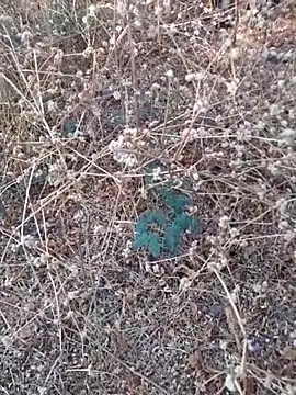 Snapshot of Ajith_mvi chatting on March 21, 2026, 11:36 am Ajith mvi online show from March 21, 2026, 11:36 am