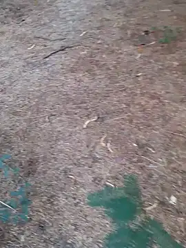 Snapshot of Ajith_mvi chatting on April 16, 2026, 1:28 am Ajith mvi online show from April 16, 2026, 1:28 am