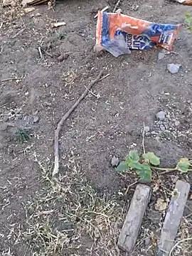 Snapshot of Ajith_mvi chatting on April 8, 2026, 1:18 am Ajith mvi online show from April 8, 2026, 1:18 am