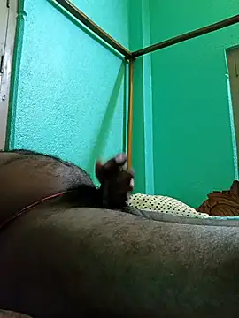 Snapshot of SEXYBOYBIGCOOCK chatting on February 12, 2025, 7:02 pm SEXYBOYBIGCOOCK online show from February 12, 2025, 7:02 pm