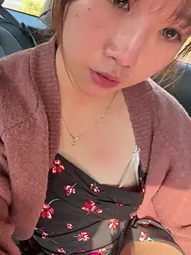 Snapshot of linko12334 chatting on January 7, 2025, 7:20 am linko12334 online show from January 7, 2025, 7:20 am