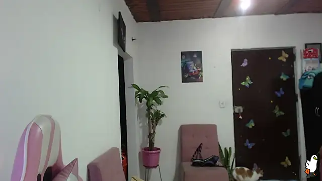 littleangel1 m online show from February 2, 2026, 1:04 am