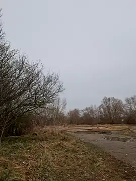 Zeefy online show from March 11, 2025, 9:56 am