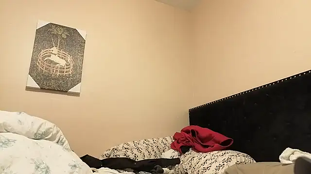 Snapshot of hailzeffn chatting on November 4, 2025, 11:52 pm hailzeffn online show from November 4, 2025, 11:52 pm