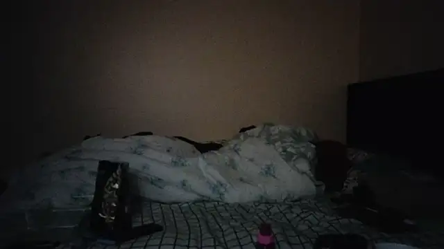 Snapshot of hailzeffn chatting on October 29, 2025, 1:48 am hailzeffn online show from October 29, 2025, 1:48 am