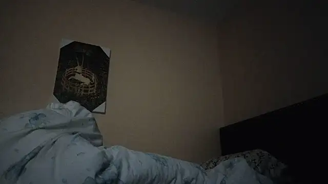 Snapshot of hailzeffn chatting on November 6, 2025, 9:13 am hailzeffn online show from November 6, 2025, 9:13 am