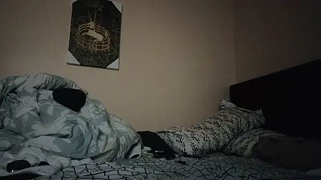 Snapshot of hailzeffn chatting on November 7, 2025, 9:25 am hailzeffn online show from November 7, 2025, 9:25 am